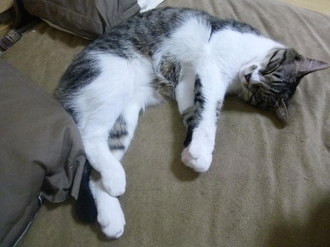 开云体育app-从集体压制到个人英雄主义，解析奇才如何将76人拖入詹姆斯的决胜时刻